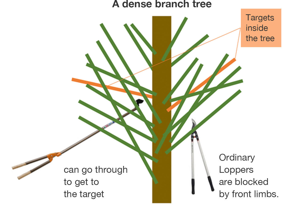 Long Reach Lopping